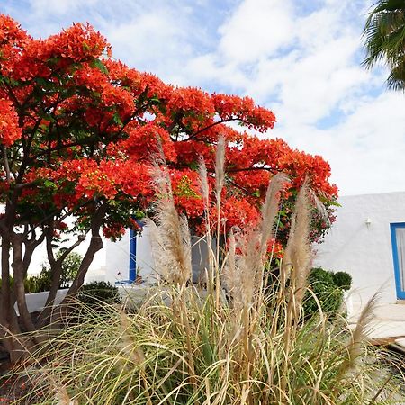 Timfay Villa Corralejo Exterior foto