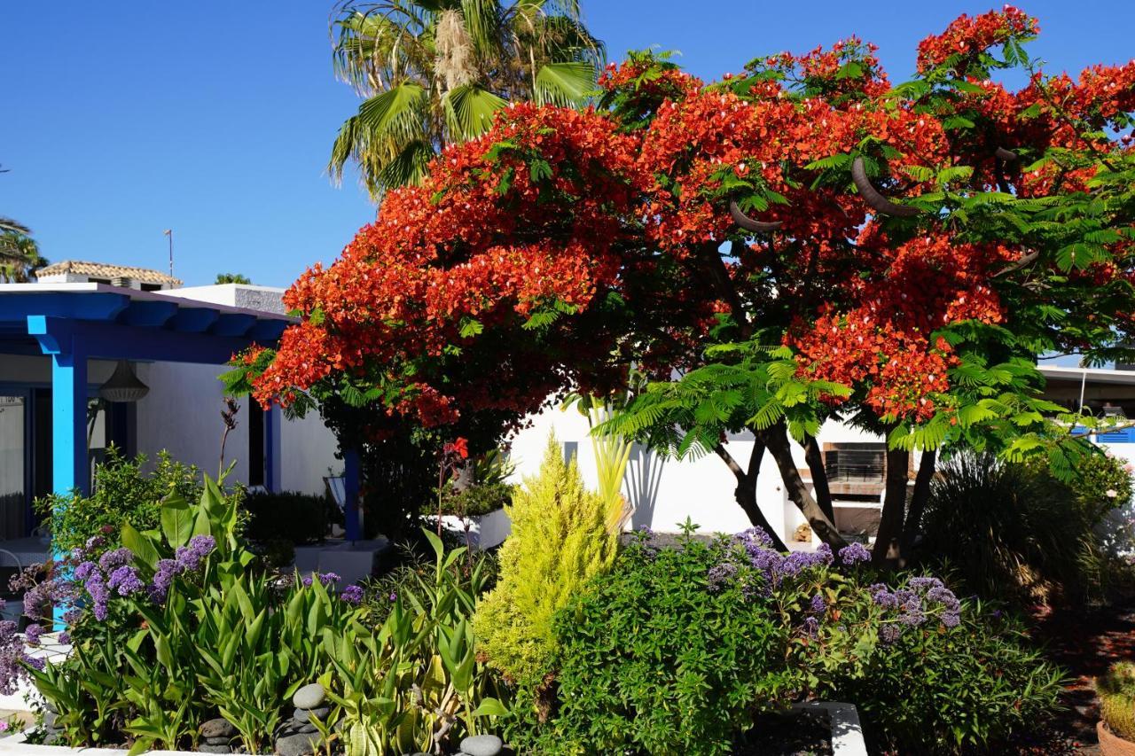 Timfay Villa Corralejo Exterior foto