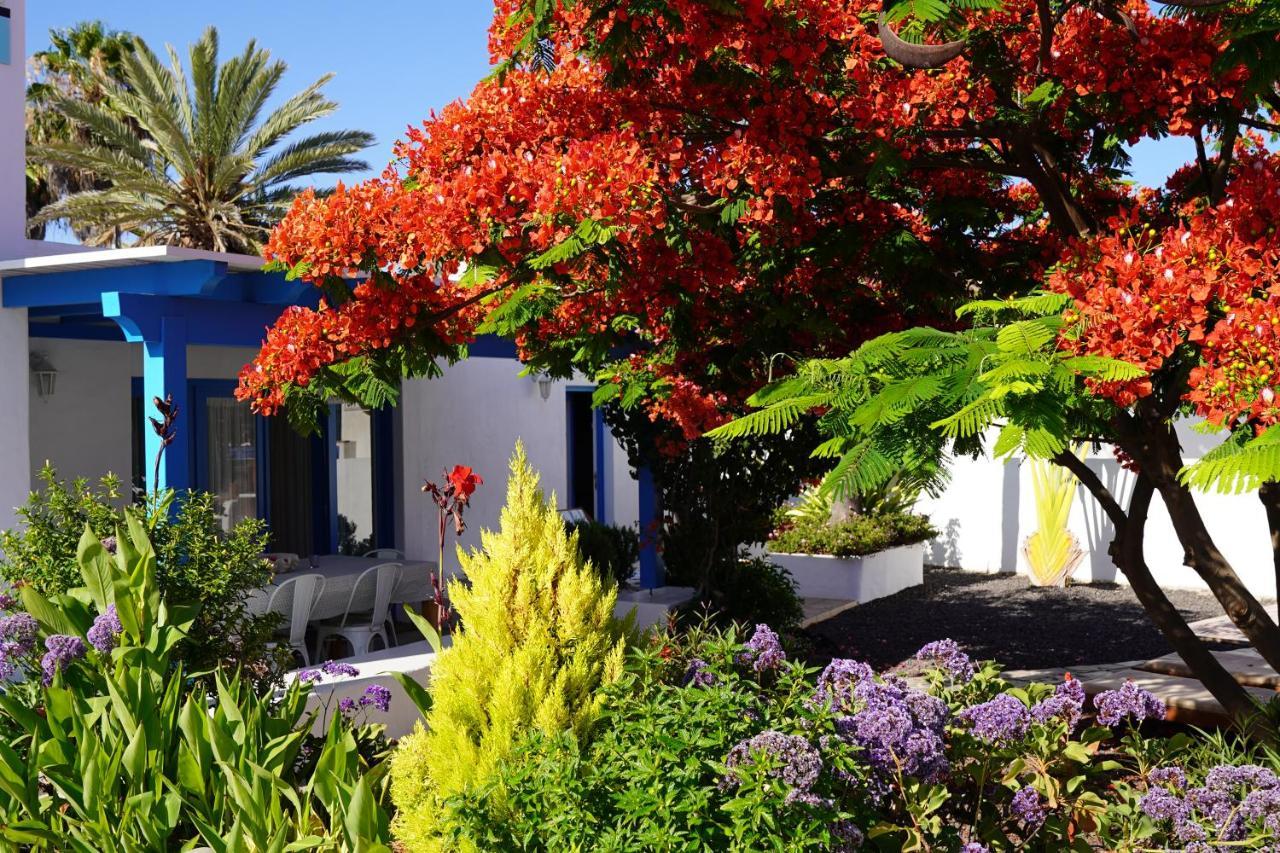 Timfay Villa Corralejo Exterior foto
