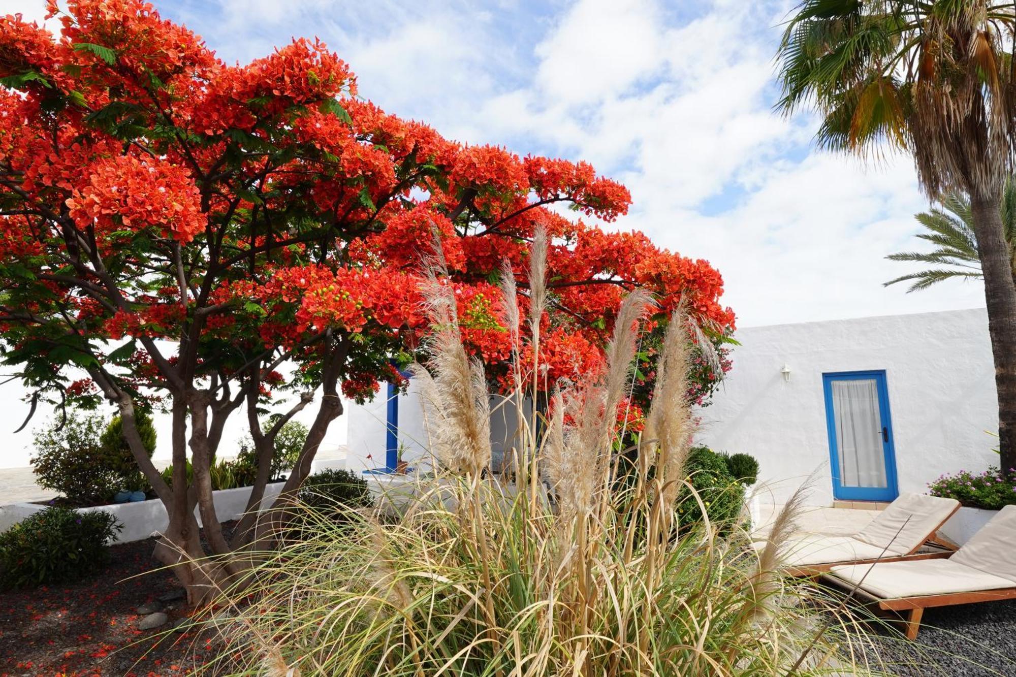 Timfay Villa Corralejo Exterior foto