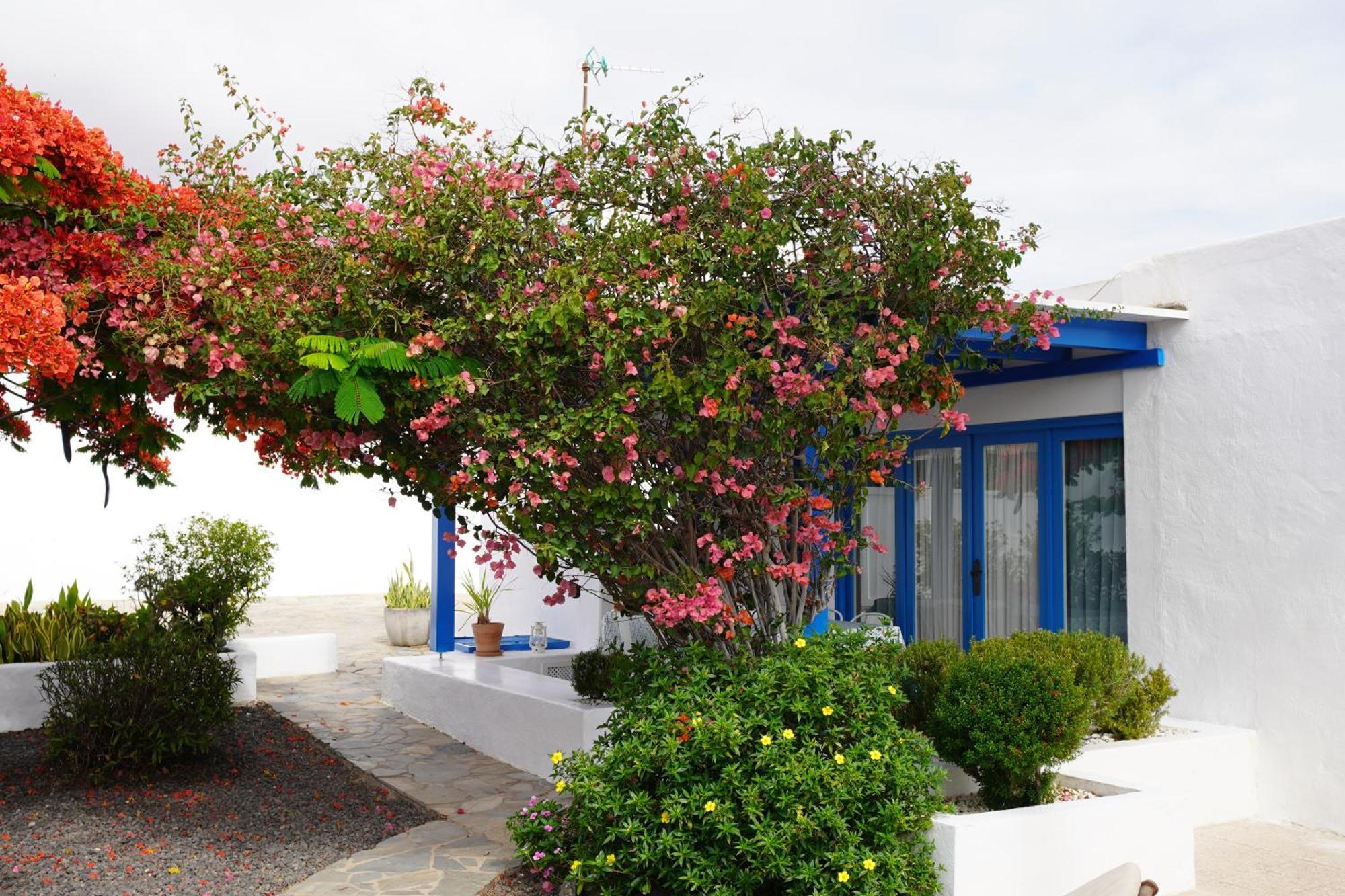 Timfay Villa Corralejo Exterior foto