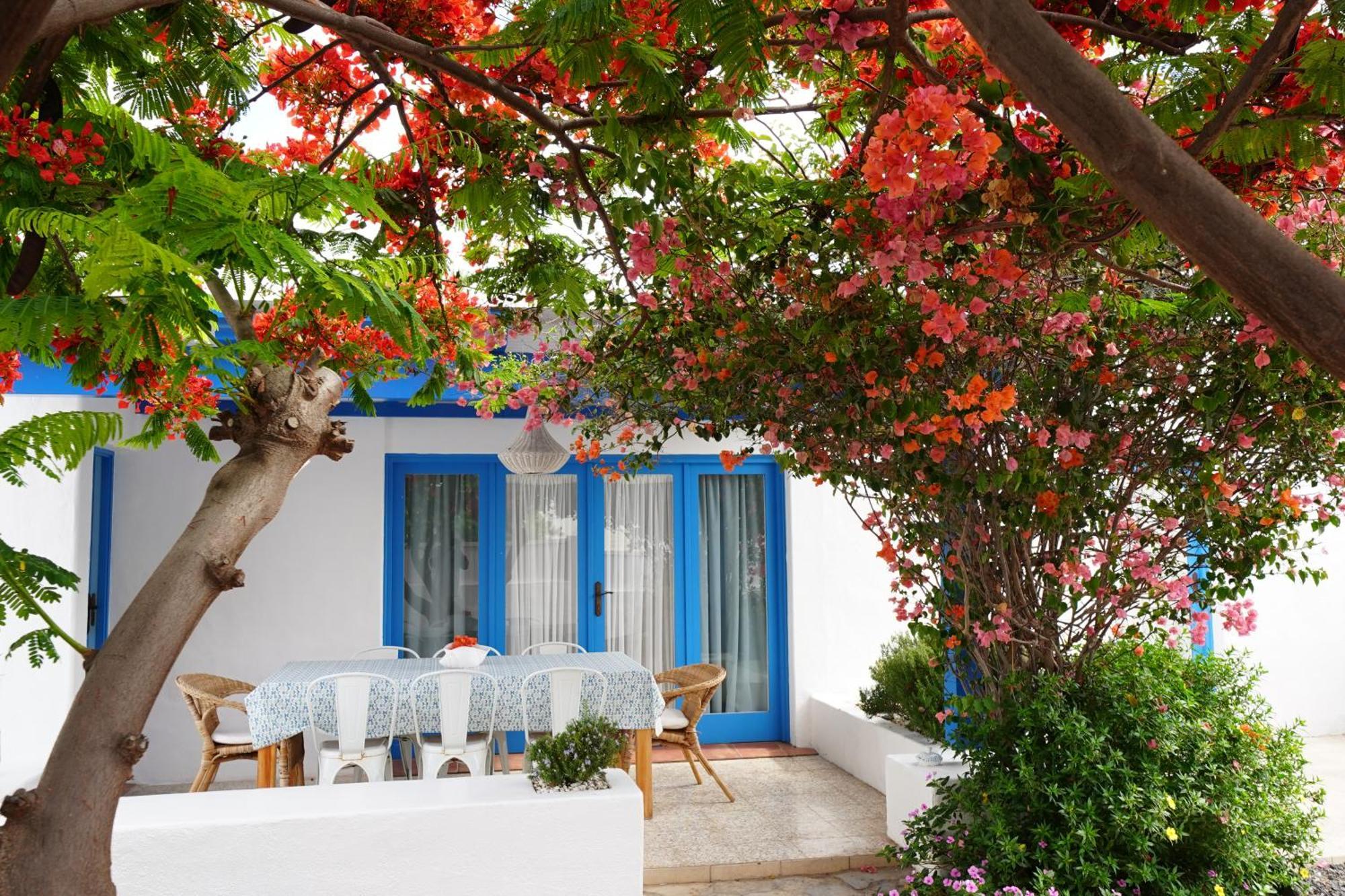 Timfay Villa Corralejo Exterior foto