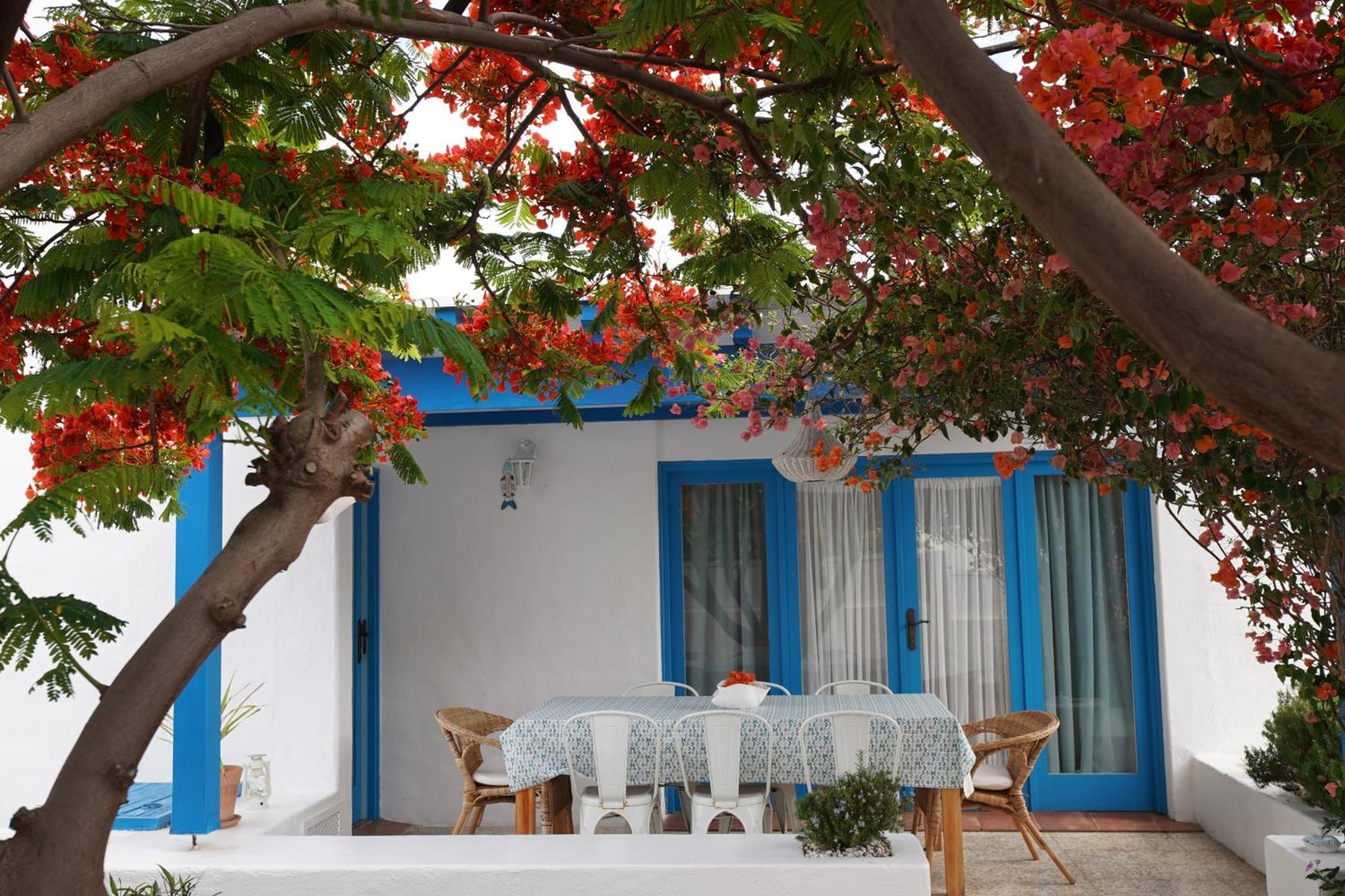 Timfay Villa Corralejo Exterior foto